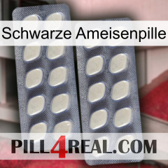 Black Ant Pill 07